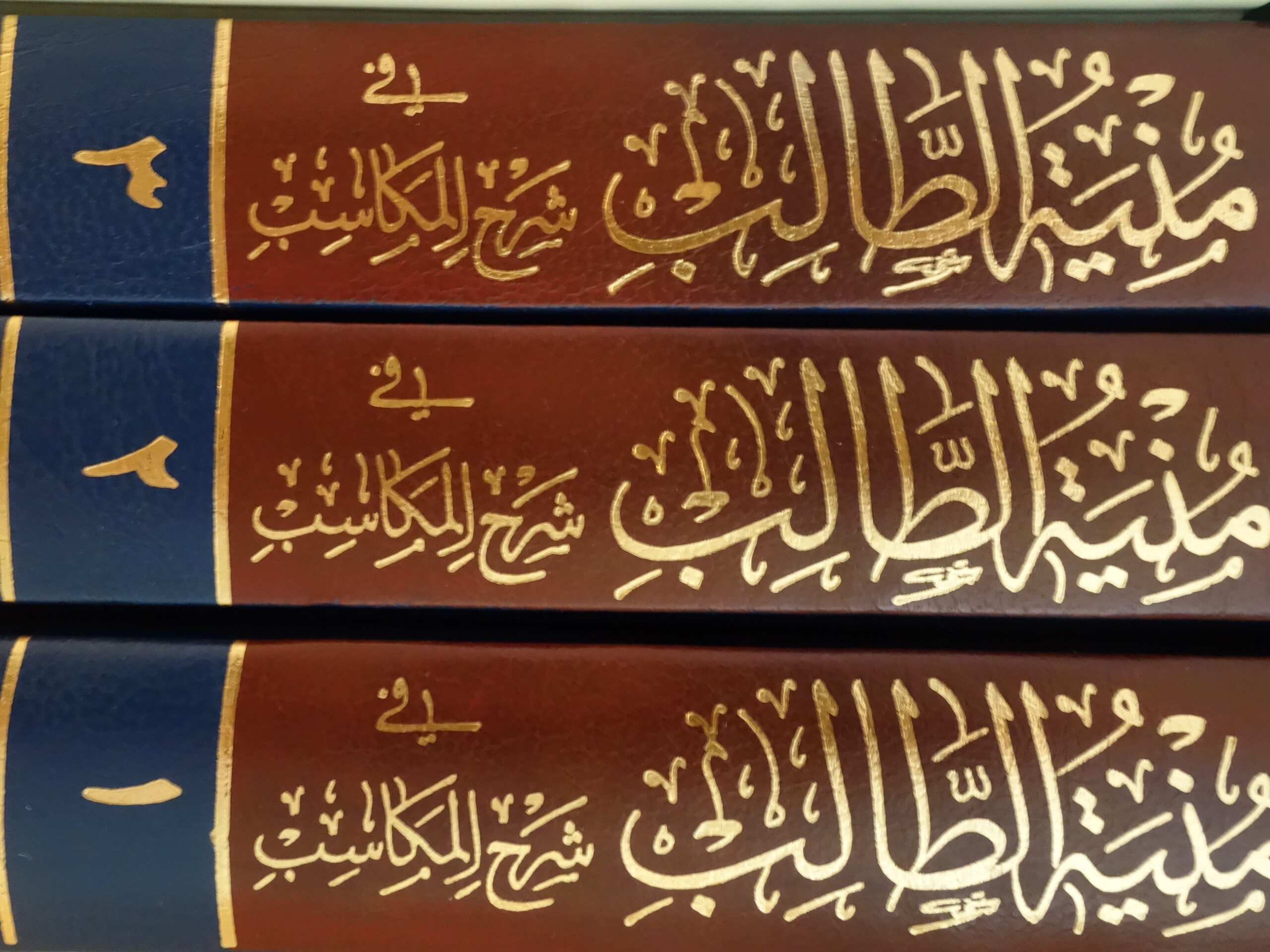 ABL786000097_Munyat at-Talib fi Sharh al-Makasib2